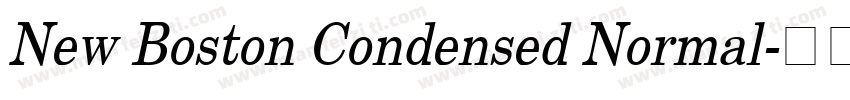 New Boston Condensed Normal字体转换